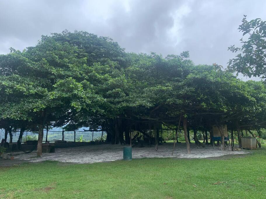 Apartmán Disfruta Del Contacto Con La Naturaleza Puntarenas Exteriér fotografie