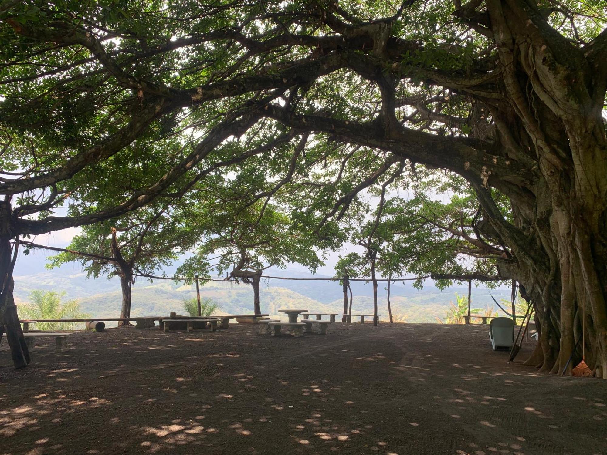 Apartmán Disfruta Del Contacto Con La Naturaleza Puntarenas Exteriér fotografie